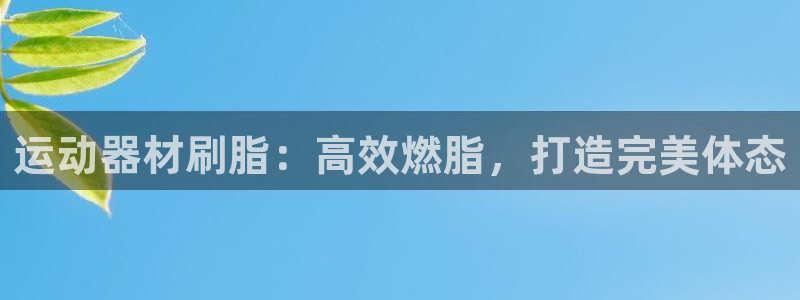 意昂3神州：运动器材刷脂：高效燃脂，打造完美体态