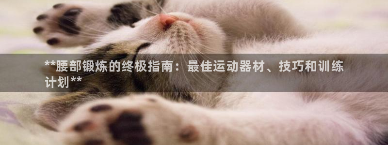 意昂3官网：**腰部锻炼的终极指南：最佳运动器材、技
