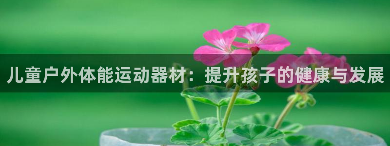 意昂体育3联系电话：儿童户外体能运动器材：提升孩子的