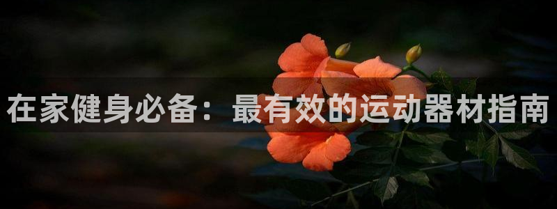 意昂体育3招商电话地址：在家健身必备：最有效的运动器
