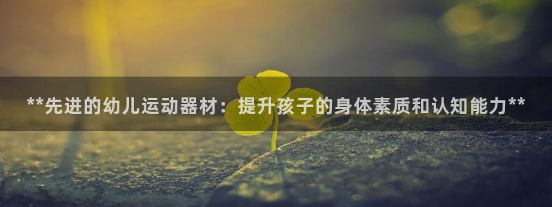 意昂体育3招商电话是多少号码：**先进的幼儿运动器材