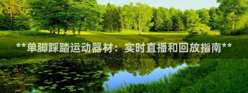 意昂3娱乐是那个系列的台子：**单脚踩踏运动器材：实