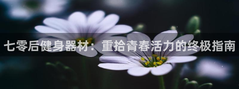 意昂3新能源：七零后健身器材：重拾青春活力的终极指南