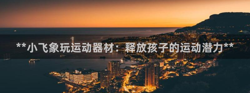 海南意昂体育3：**小飞象玩运动器材：释放孩子的运动