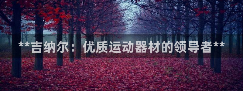 意昂体育3平台注册流程图：**吉纳尔：优质运动器材的