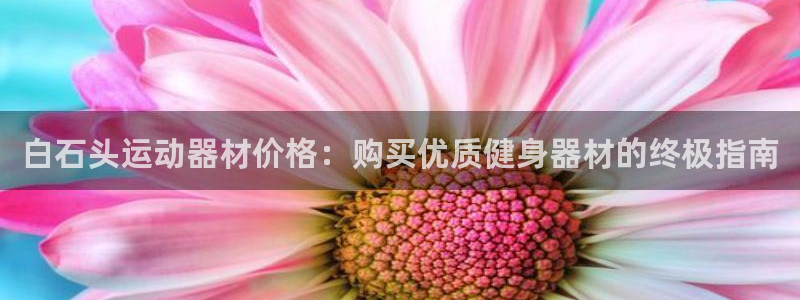 意昂体育3招商电话是多少：白石头运动器材价格：购买优