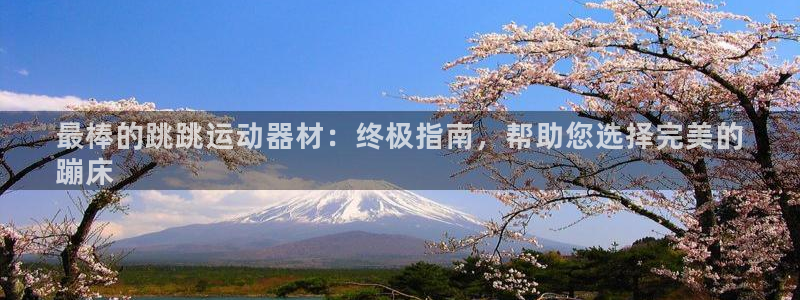 意昂3娱乐首页网站大全：最棒的跳跳运动器材：终极指南