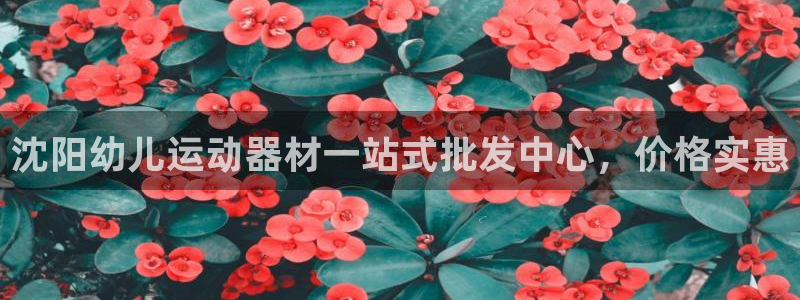 海南意昂体育3：沈阳幼儿运动器材一站式批发中心，价格