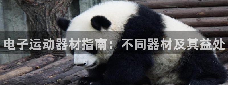 意昂3娱乐下载：电子运动器材指南：不同器材及其益处