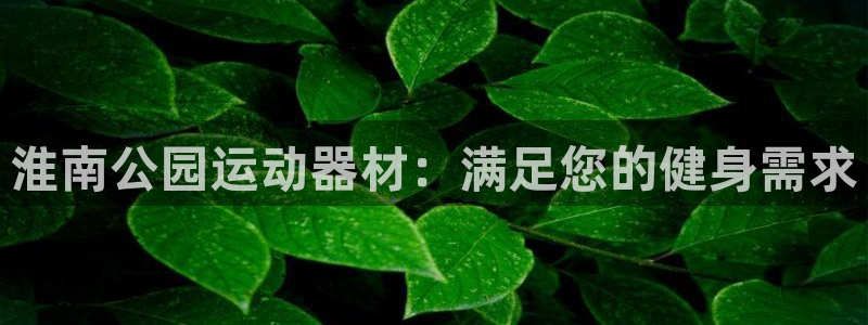 意昂3代理：淮南公园运动器材：满足您的健身需求