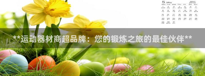 意昂3官方：**运动器材商超品牌：您的锻炼之旅的最佳
