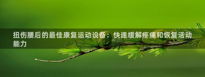 意昂3娱乐代理怎么样：扭伤腰后的最佳康复运动设备：快