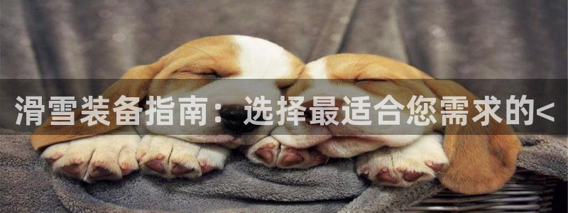 意昂3娱乐代理怎么样：滑雪装备指南：选择最适合您需求