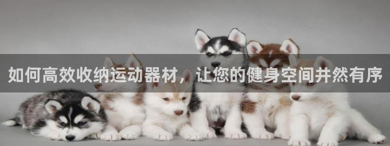 意昂3娱乐代理怎么样：如何高效收纳运动器材，让您的健