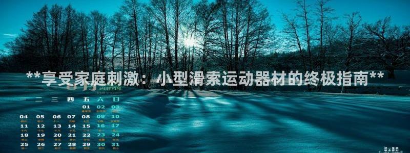 德国意昂3集团：**享受家庭刺激：小型滑索运动器材的