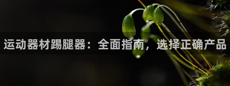 意昂体育3开户：运动器材踢腿器：全面指南，选择正确产