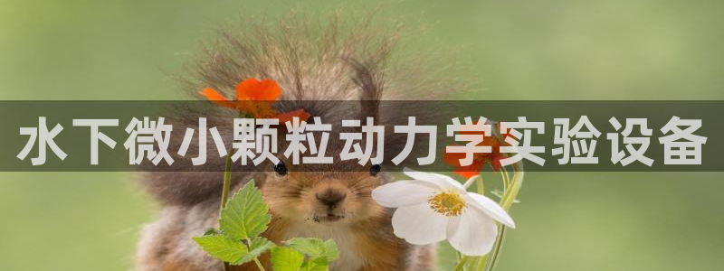 意昂体育3招商电话号码是多少：水下微小颗粒动力学实验