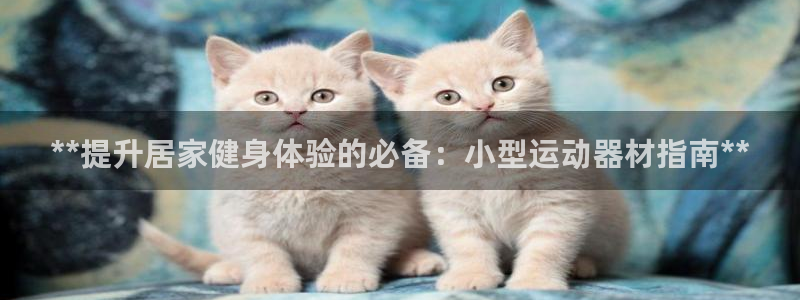 意昂体育3注册：**提升居家健身体验的必备：小型运动