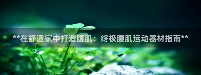 意昂3科技：**在舒适家中打造腹肌：终极腹肌运动器材