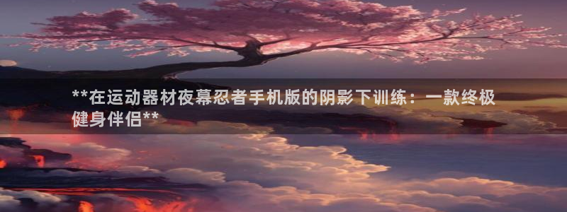海南意昂体育3发展怎么样：**在运动器材夜幕忍者手机