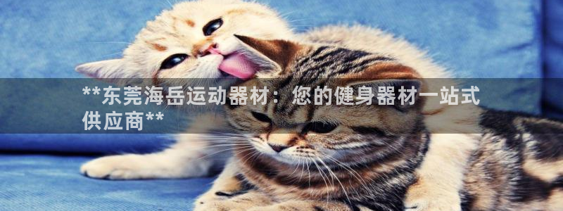 意昂3娱乐是那个系列的台子：**东莞海岳运动器材：您