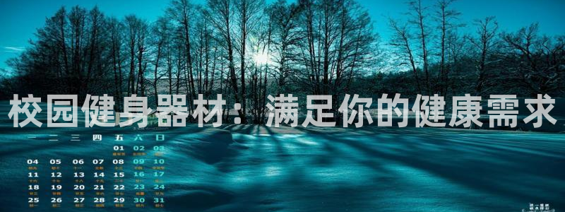 意昂3娱乐平台：校园健身器材：满足你的健康需求