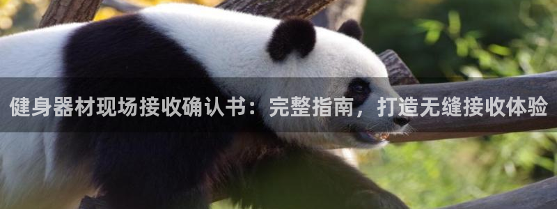 意昂3开户：健身器材现场接收确认书：完整指南，打造无缝接收体