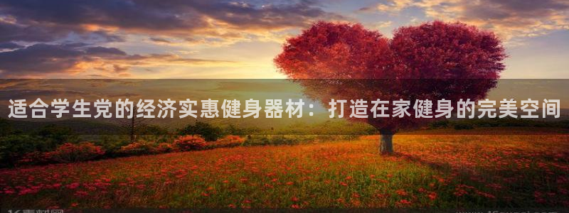 意昂3娱乐首页官网下载：适合学生党的经济实惠健身器材