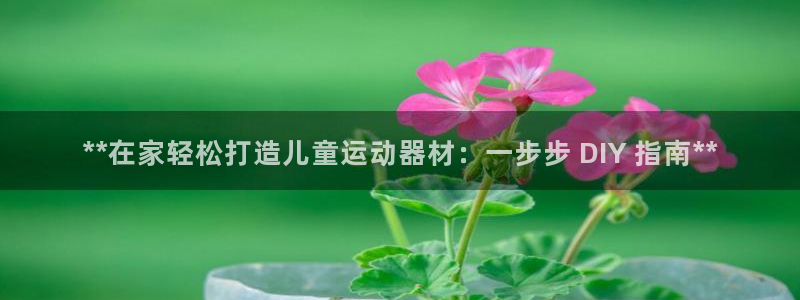 意昂体育3平台注册要钱吗是真的吗：**在家轻松打造儿童运动器