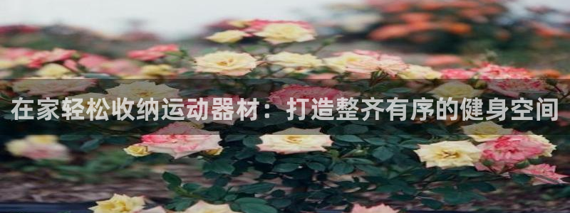 意昂3集团E.ON：在家轻松收纳运动器材：打造整齐有