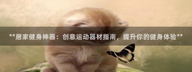 意昂3代理：**居家健身神器：创意运动器材指南，提升