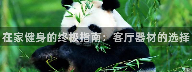 意昂体育3招商电话是多少：在家健身的终极指南：客厅器