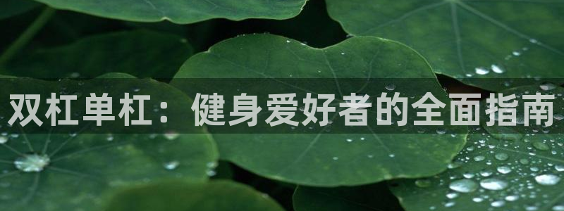 意昂3娱乐是那个系列的台子：双杠单杠：健身爱好者的全