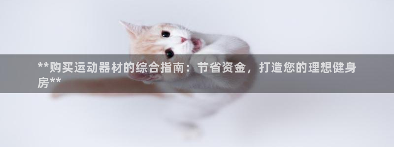 意昂3娱乐40996：**购买运动器材的综合指南：节