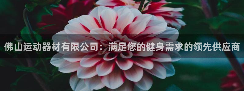 意昂3集团官网首页：佛山运动器材有限公司：满足您的健