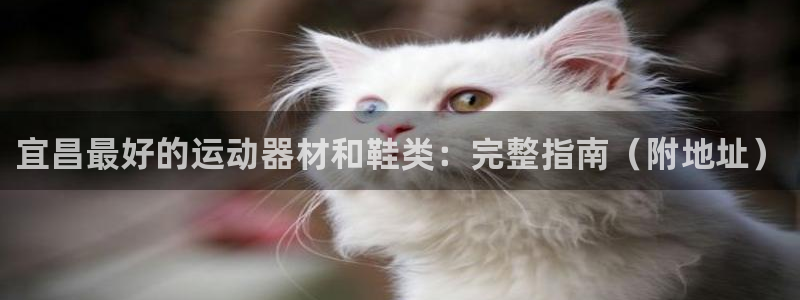 意昂3娱乐是那个系列的台子：宜昌最好的运动器材和鞋类