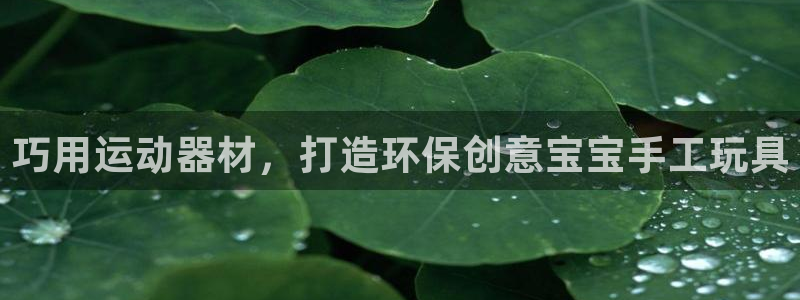 意昂3集团简介：巧用运动器材，打造环保创意宝宝手工玩