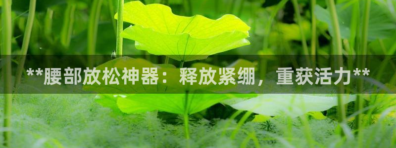 意昂体育3招商电话号码：**腰部放松神器：释放紧绷，
