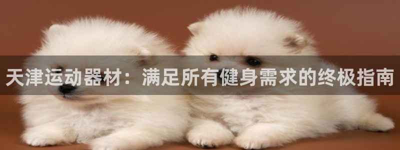 意昂体育3招商电话：天津运动器材：满足所有健身需求的终极指南