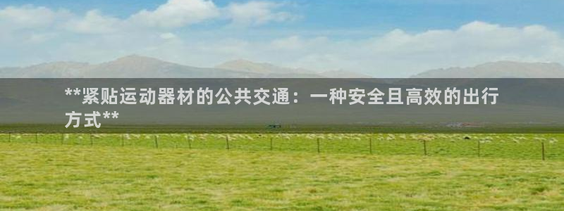 意昂3官网：**紧贴运动器材的公共交通：一种安全且高效的出行