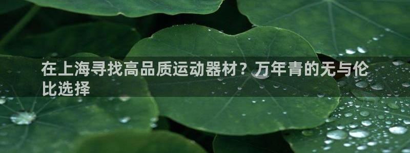意昂体育3平台注册：在上海寻找高品质运动器材？万年青
