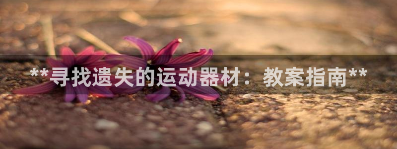 意昂3代理：**寻找遗失的运动器材：教案指南**