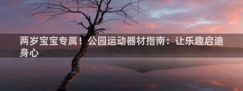 意昂3开户：两岁宝宝专属！公园运动器材指南：让乐趣启迪
身心