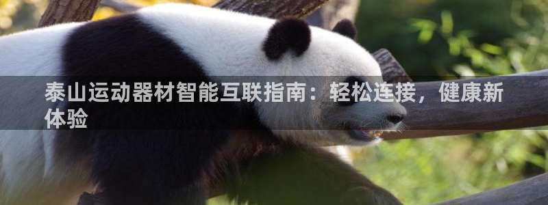 意昂体育3平台：泰山运动器材智能互联指南：轻松连接，