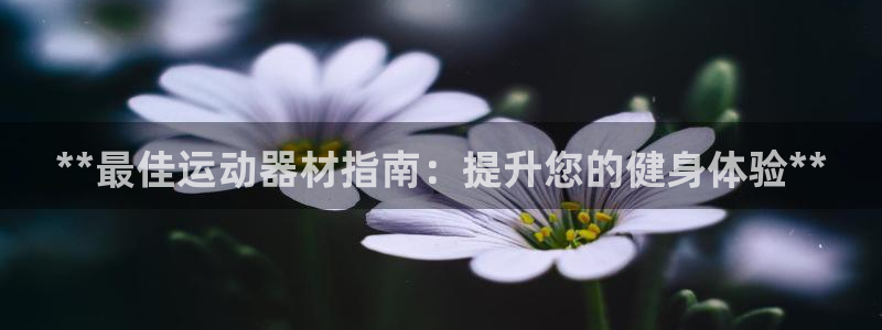 意昂体育3是干嘛的公司