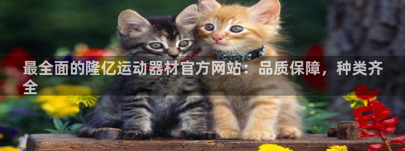 意昂集团官网：最全面的隆亿运动器材官方网站：品质保障，种类齐