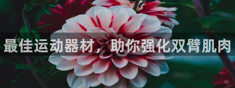 意昂体育3联系电话