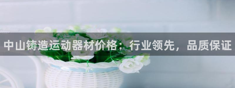 意昂3娱乐是那个系列的台子：中山铸造运动器材价格：行业领先，