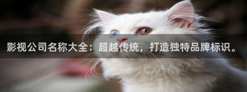 晴天影视软件