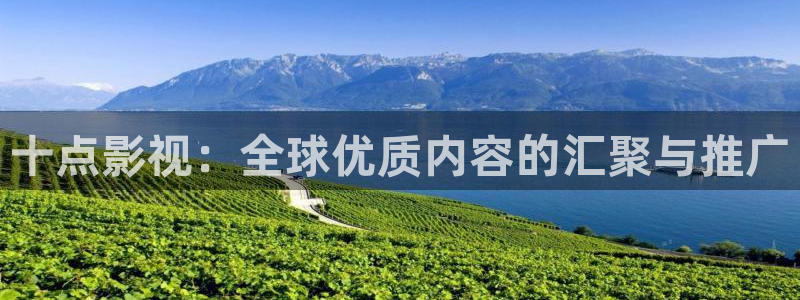 晴天影视下载正版免费观看电视剧